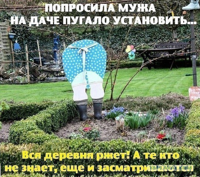 Прикольные картинки абавсём