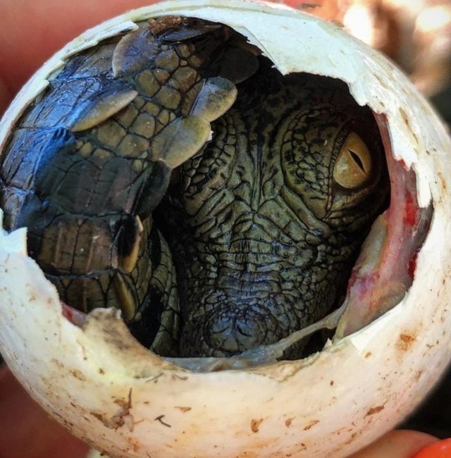 Интересные фотографии обо всем на свете