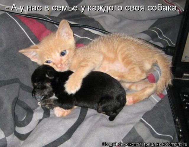 Любимая игрушка