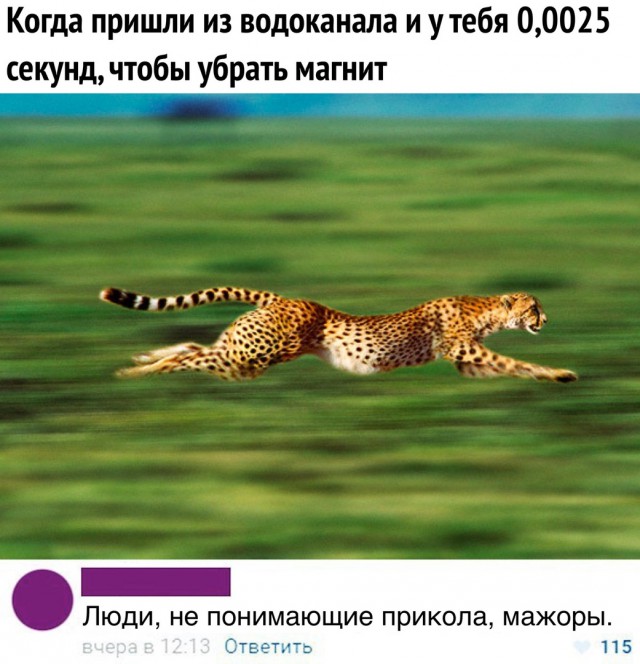 Немного веселых картинок из этих наших интернетов