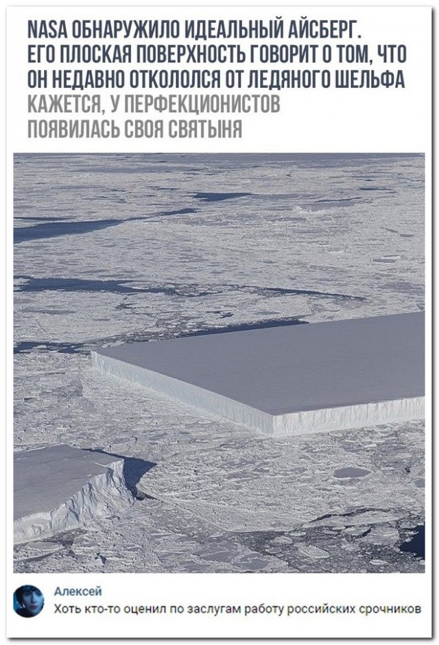 Немного занятных комментариев из социальных сетей на начало недели