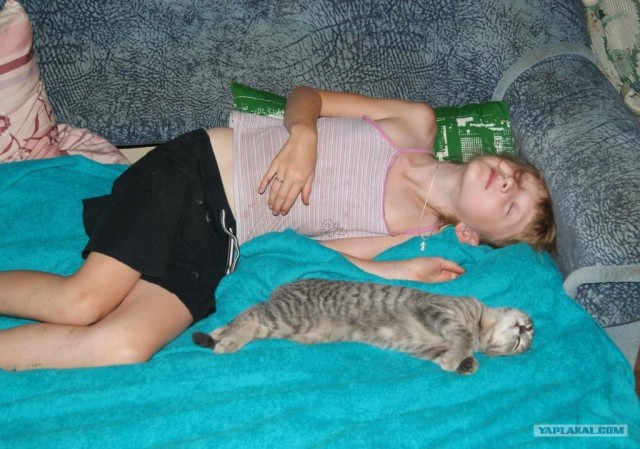 Котовторник с Кузей