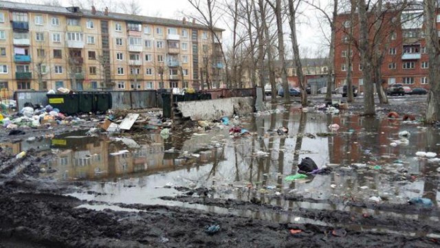 Наехала автомобилем из за собачьего говна