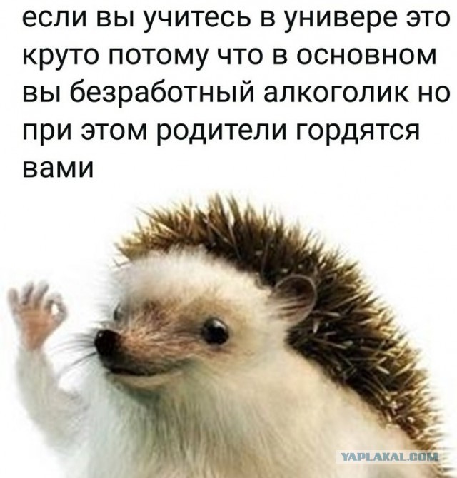 Немного картинок для настроения