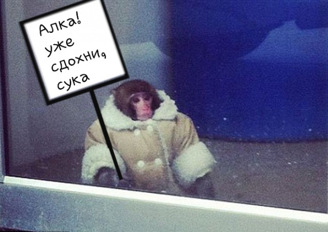 На Пугачеву обрушились с критикой за езду на автомобиле по перрону