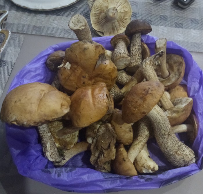 Как думаете, сколько может быть грибов в 400-граммовой упаковке?