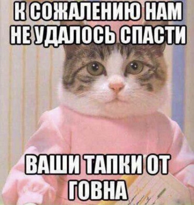 Без извилин
