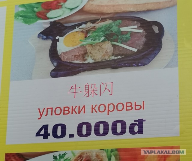 Перлы 17.02.20