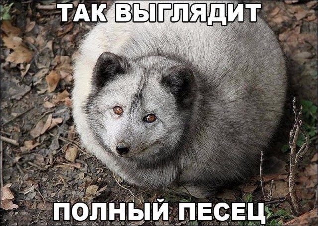 Чуток картинок 07.04.20