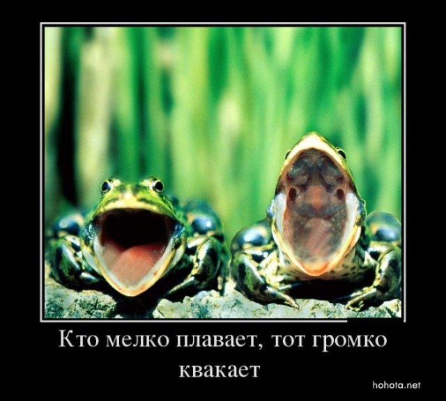 Немного картинок и демотиваторов со старого винта - 3