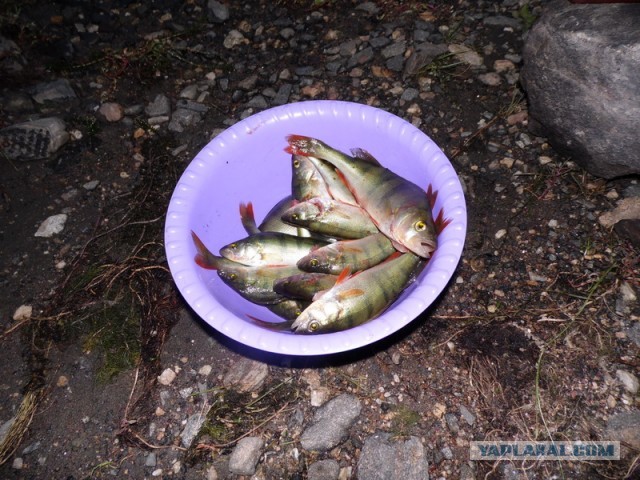 Солнце, небо и вода