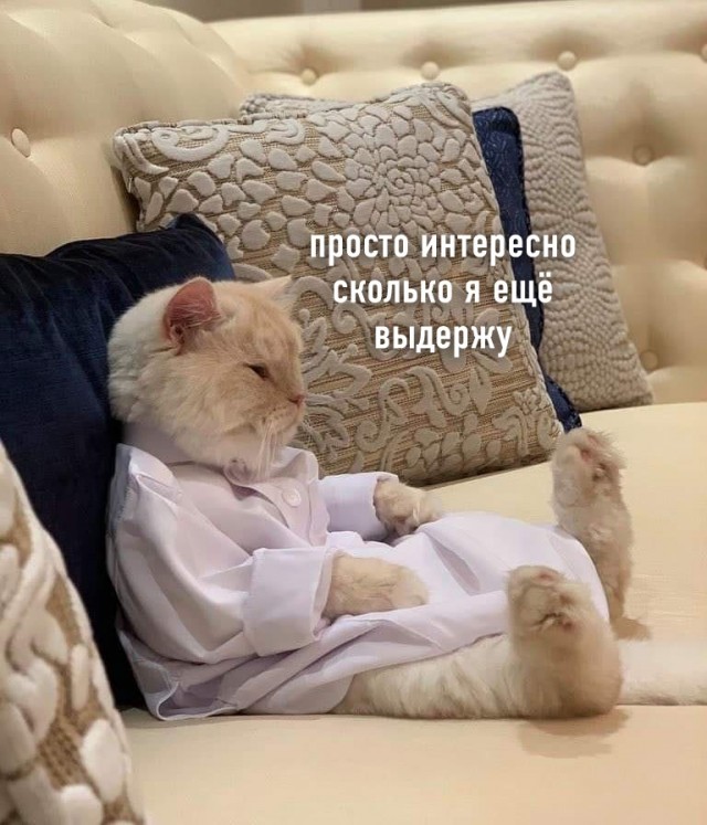 Эти забавные животные