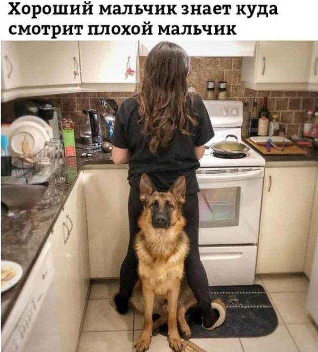 Пятница. И немного слегка пошлых картинок с надписями и без 16+ (30.10)