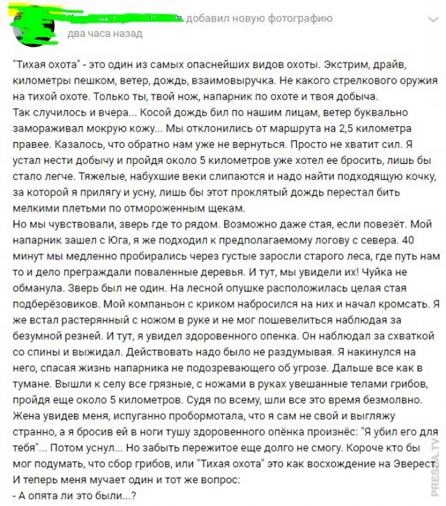 Немного картинок для настроения 10.11.20