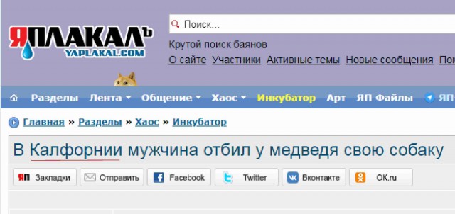 В Калифорнии мужчина отбил у медведя свою собаку