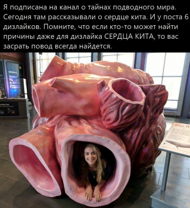 Картинки и мемы для настроения 015