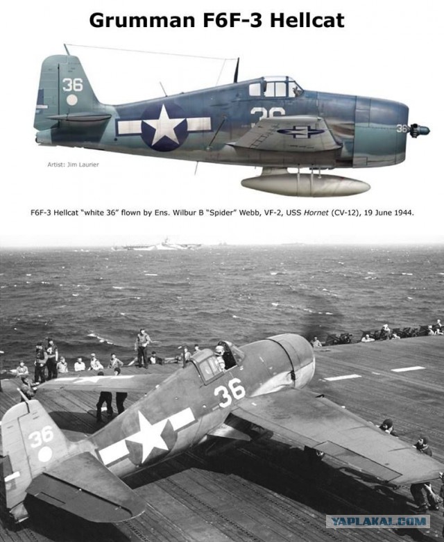 F6F Hellcat – «рабочая лошадка» американского флота