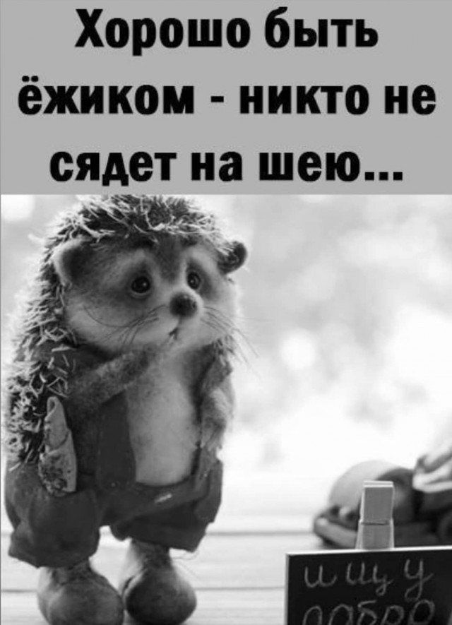 Свинегрет: картинки, надписи и прочее на 06,07.202 или №31