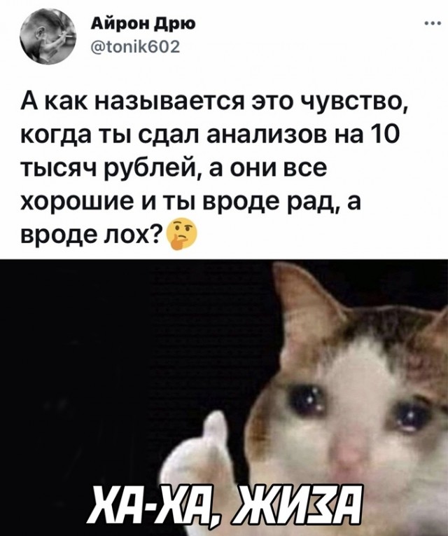 Весёлый полтишок 16.07