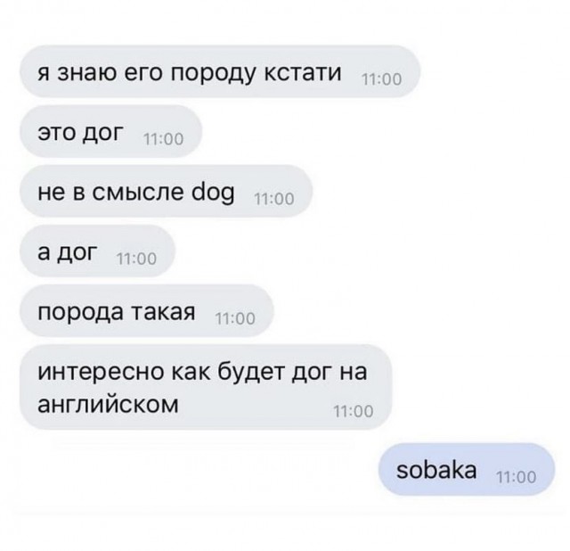 Картинки и мемы для настроения 09.09.2021