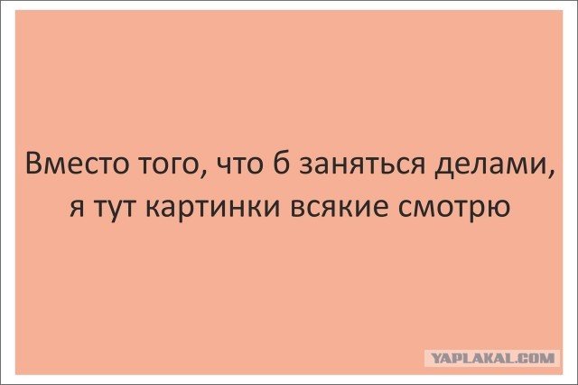 СтопХам 73 Весеннее обострение.