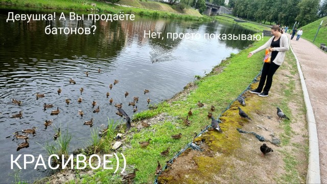 Псков сегодня