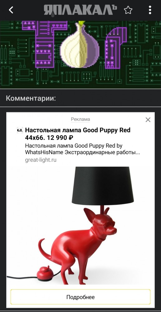 Tor и Роскомсвобода готовы начать борьбу с Роскомнадзором за права анонимного браузера и его разблокировку