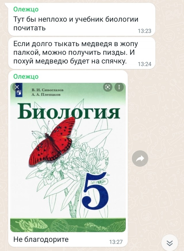 Западные карикатуры на повестке дня