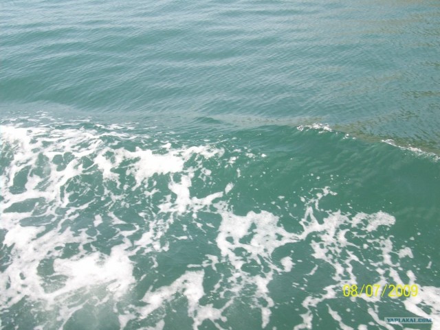 Черное море