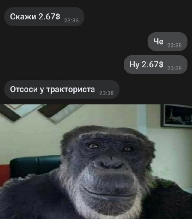 Весёлый полтишок 05.03
