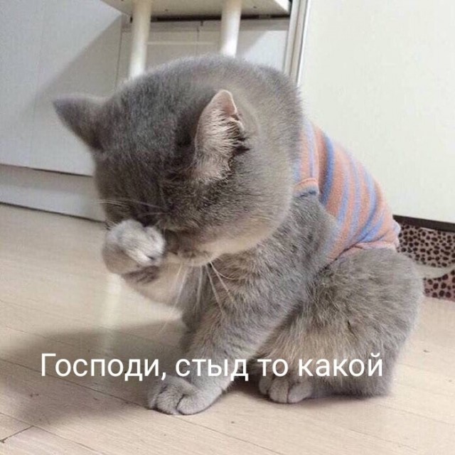 У семьи победившей в конкурсе на самую патриотичную коляску в Стерлитамаке отобрали награду