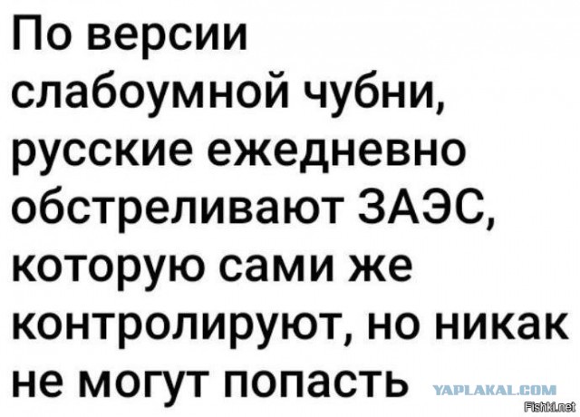 Впервые в истории произошло полное отключение Запорожской АЭС от энергосети, сообщает Энергоатом