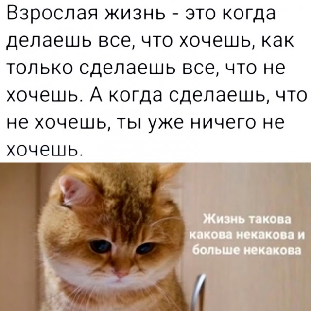 Картинки и мемы, всем хороших выходных