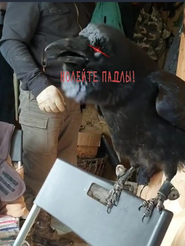 Карлуша