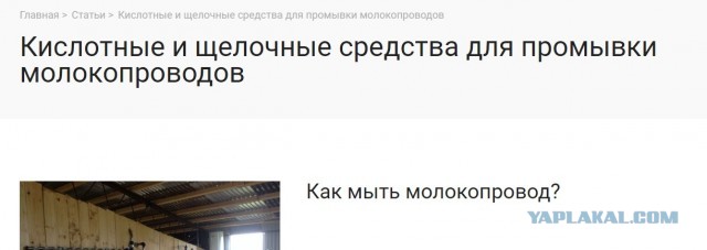 Работа посудомойки изнутри