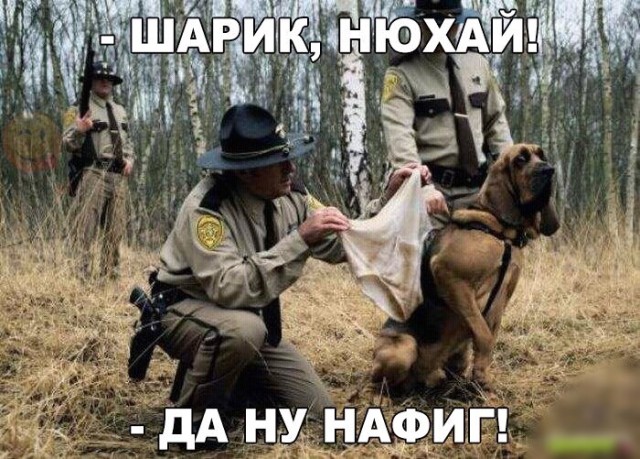 Очередная сборка картинок! Кому баян, кому гармонь, а кому в новинку!