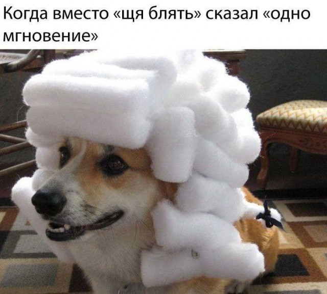 Народная меДИЧина 2017