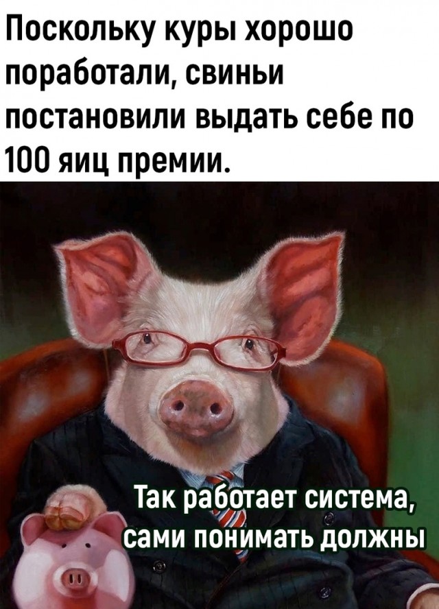Так себе картинки 11.09.23