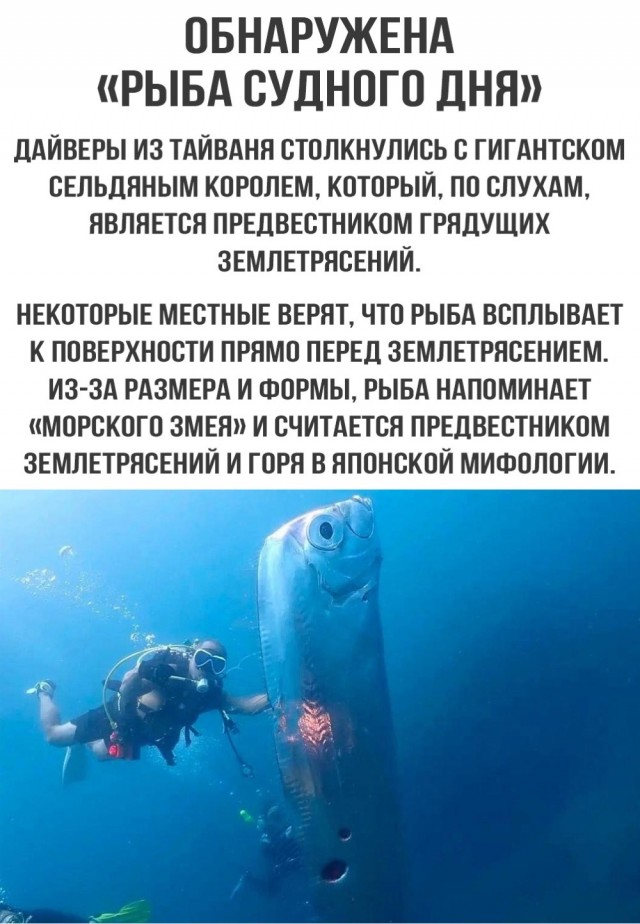 Всяко-разно