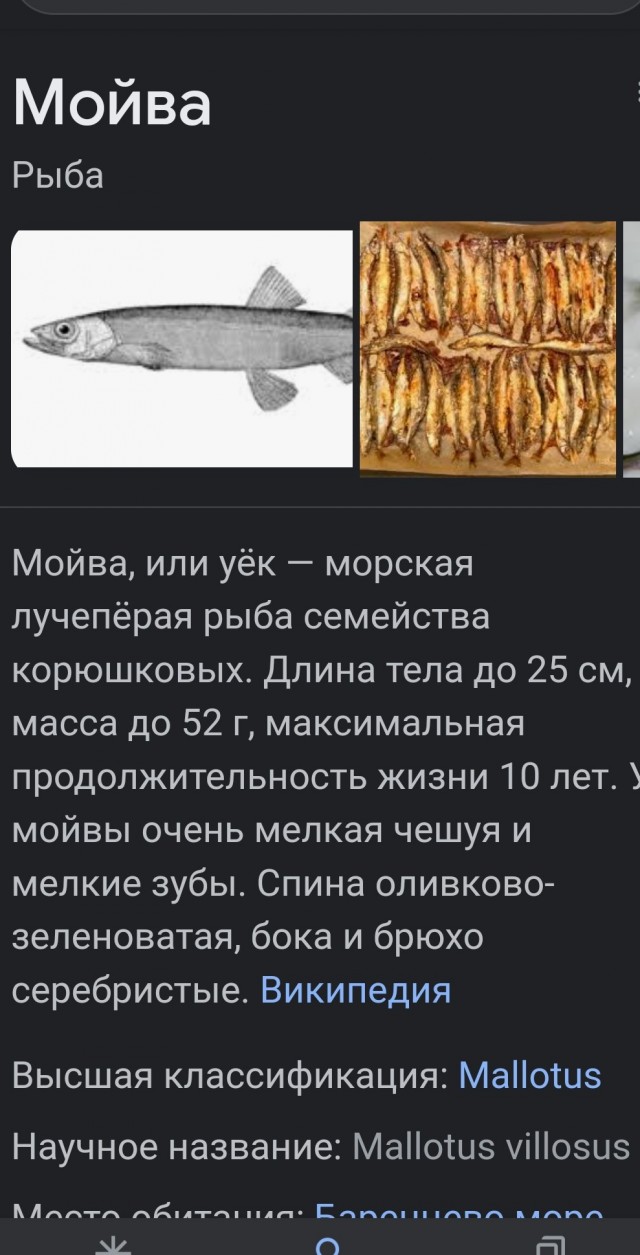 Тем временем в Одессе