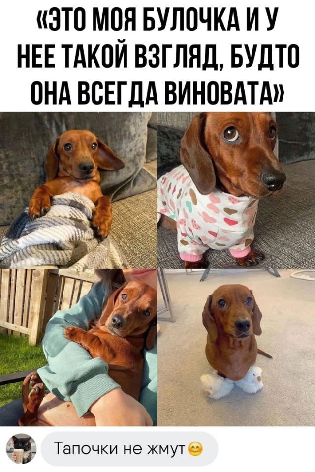 Так себе картинки 10.10.2023