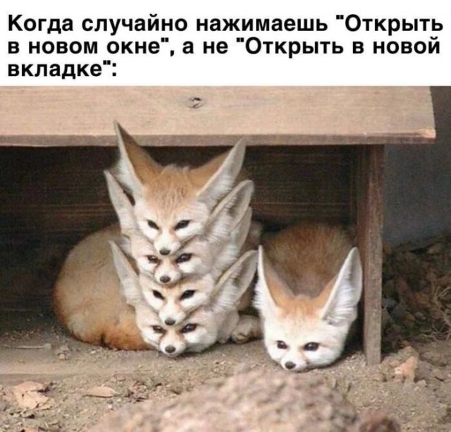 Так себе картинки 24.10.23