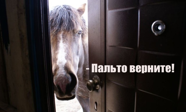Так себе картинки 03.05.24