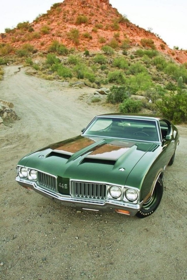 ФотоВинегрет