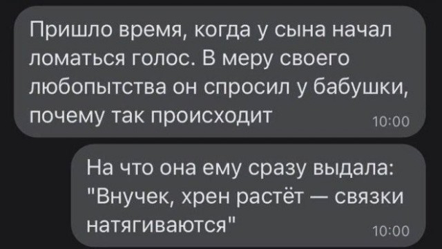 Весёлый полтишок 02.07.24