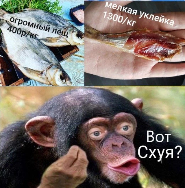 Вот почему?