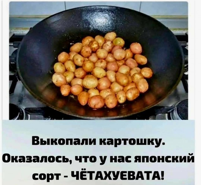 Нуштош 04.10.2024