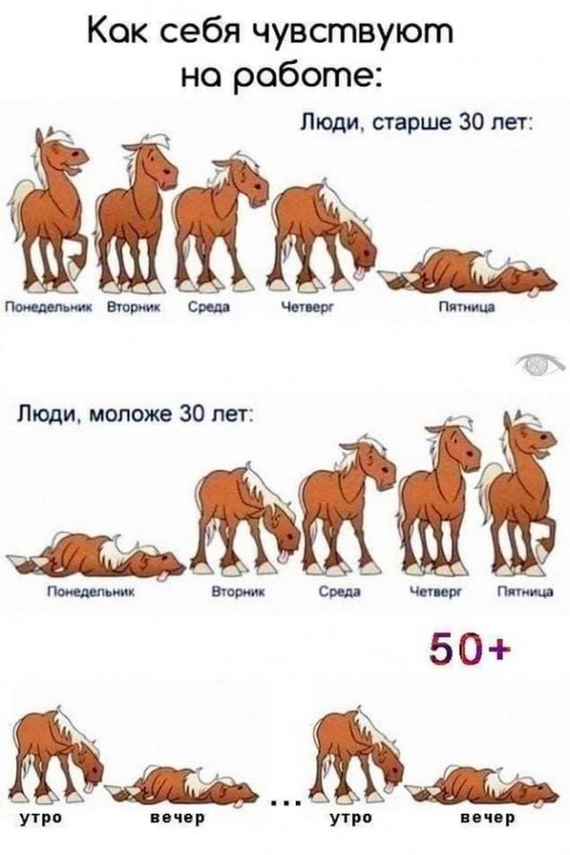 Посмеялся сам - поделись с другом!!!