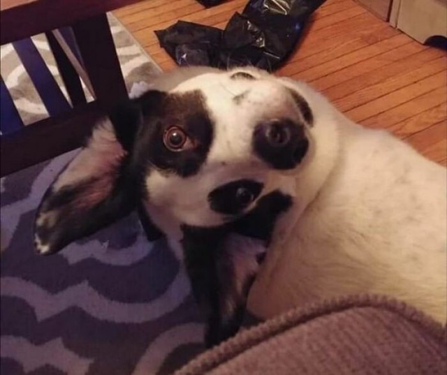 На эти фото нужно смотреть дважды