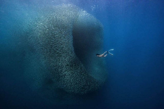 Объявлены победители фотоконкурса ColorPro Awards 2024